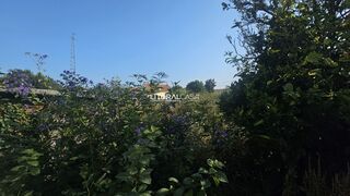 -706190140_4rew85zhq8bzh9i1.jpg
