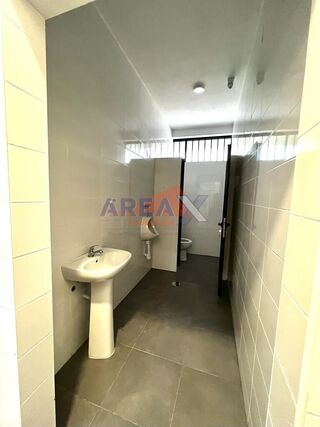 -210114605_ID19b06501-0000-0500-0000-000010d01cab.jpg