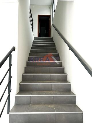 -210114605_ID19b06501-0000-0500-0000-000010d01cad.jpg