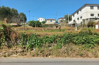 -190005155_img3__3_.jpg