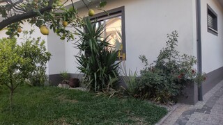 1000019915_49.jpeg