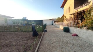 1000019916_5.jpeg