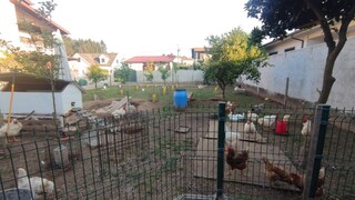 1000019916_6.jpeg