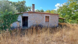 1000019941_2.jpg