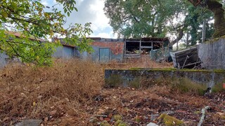 1000019941_20210910_100908.jpg