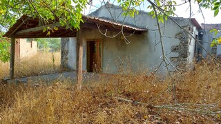 1000019941_20210910_100950.jpg