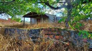 1000019941_20210910_101015.jpg