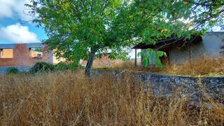 1000019941_20210910_101039.jpg
