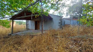 1000019941_20210910_101049.jpg