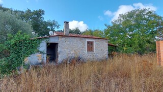1000019941_20210910_101204.jpg