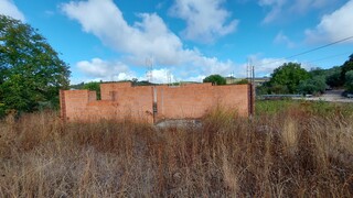 1000019941_20210910_101219.jpg
