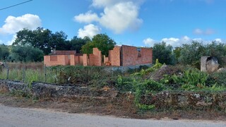 1000019941_20210910_101716.jpg