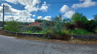 1000019941_20210910_101805.jpg
