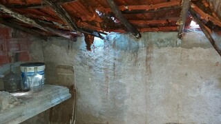 1000019941_20210910_105232.jpg
