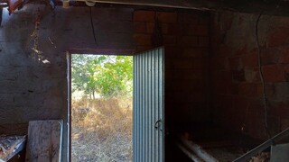 1000019941_20210910_105251.jpg