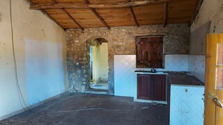 1000019941_20210910_105555.jpg