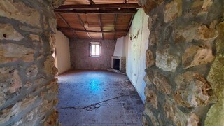 1000019941_20210910_105718.jpg