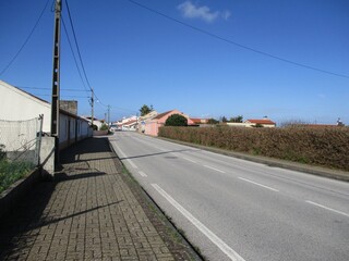 1000019945_img_8067.jpg