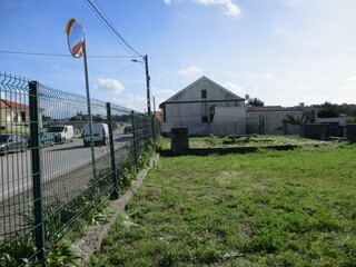 1000019945_img_8071.jpg