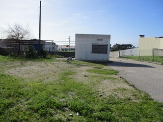 1000019945_img_8072.jpg