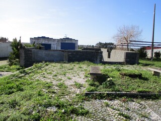 1000019945_img_8075.jpg