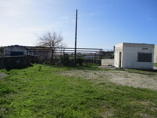1000019945_img_8083.jpg