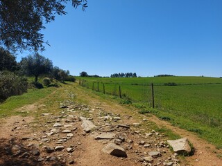 1000019946_20250329_125133.jpg