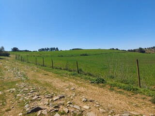 1000019946_20250329_125148.jpg