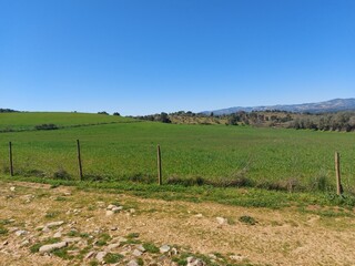 1000019946_20250329_125205.jpg