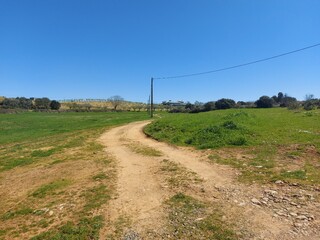 1000019946_20250329_125319.jpg