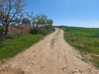 1000019949_20250329_113345.jpg