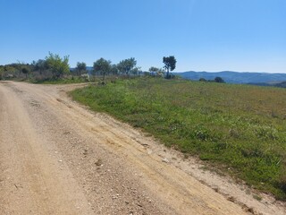 1000019949_20250329_115246.jpg