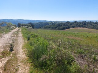 1000019949_20250329_115350.jpg