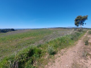 1000019949_20250329_115406.jpg