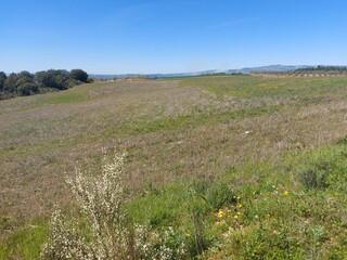 1000019949_20250329_115451.jpg