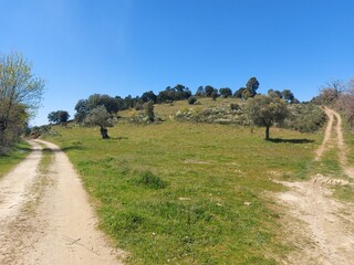 1000019950_2.jpg