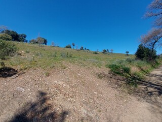 1000019950_20250329_121804.jpg