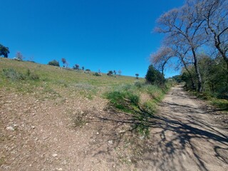 1000019950_20250329_121812.jpg