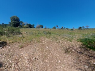 1000019950_20250329_121815.jpg