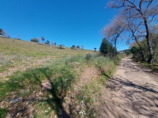 1000019950_20250329_121822.jpg