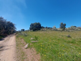 1000019950_20250329_122016.jpg
