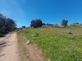 1000019950_4.jpg