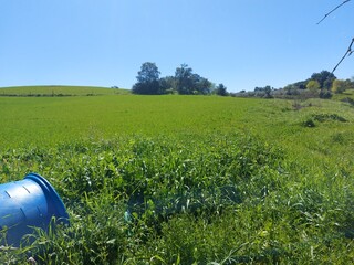 1000019951_20250329_125709.jpg