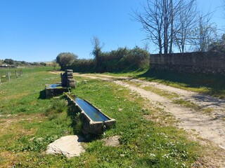 1000019951_20250329_125735.jpg