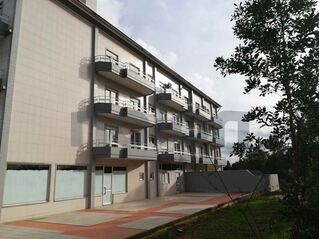 -1223104472_1-6.jpg