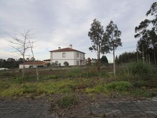 -1223104567_1-1.jpg