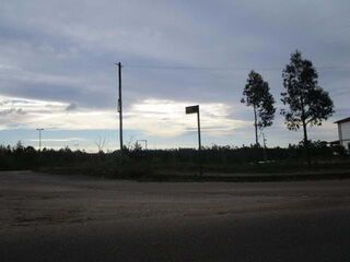 -1223104567_1-3.jpg