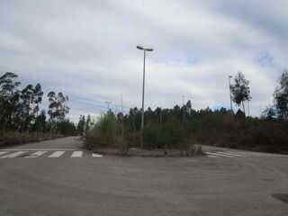 -1223104567_1-5.jpg