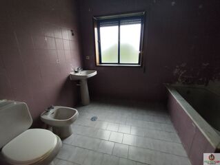 -706175497_7hcdtvwo970xjsaq.jpg