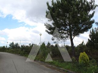 -205575268_IDa6e30e01-0000-0500-0000-00000ae4edab.jpg